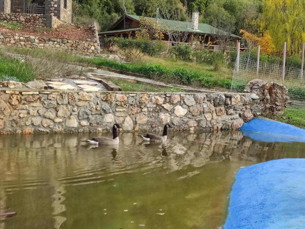 Oneiropagidasuites Kalavryta Exteriör bild